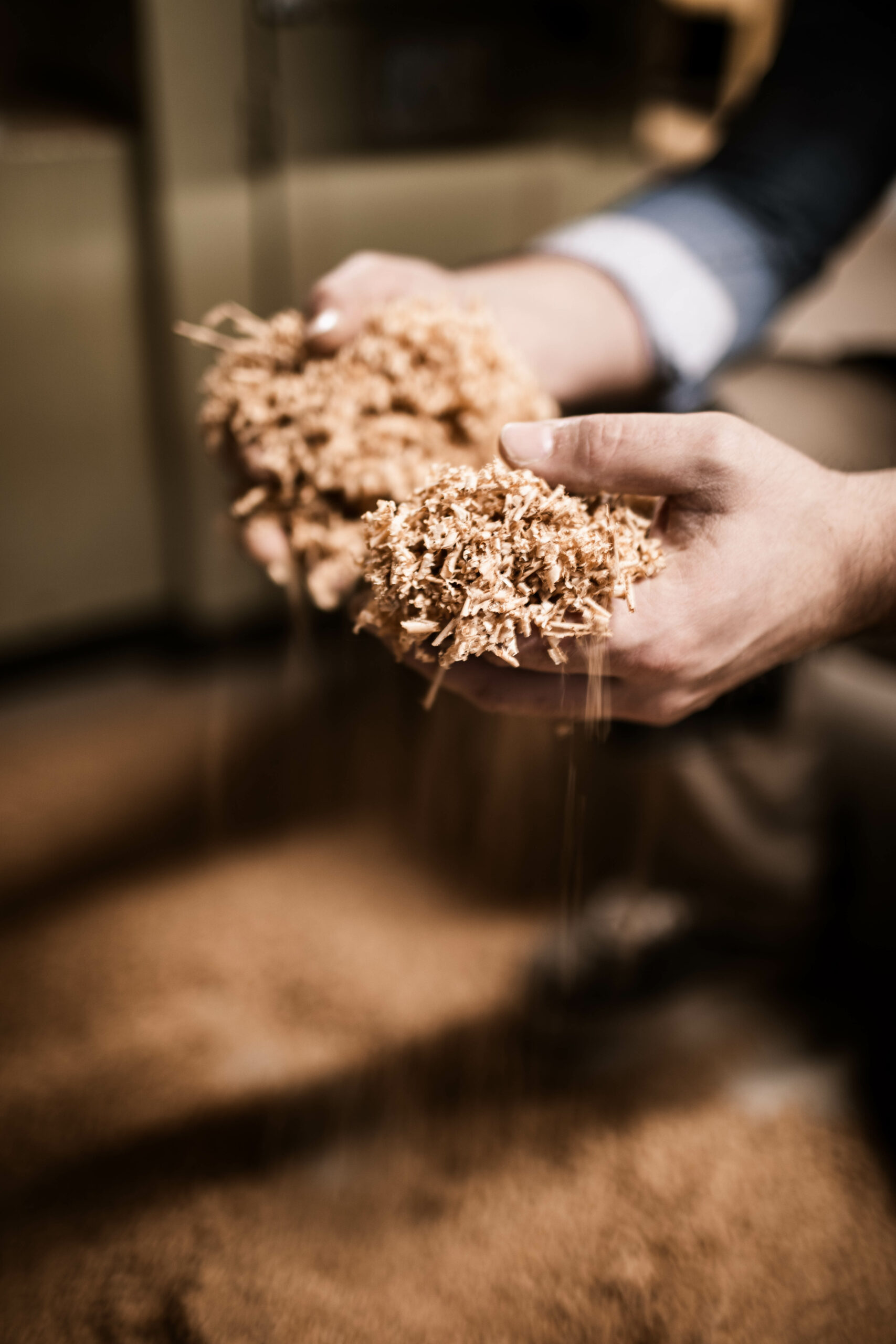 reportage photo artisans epernay - savoir faire atisanal marne - dominique borgnet