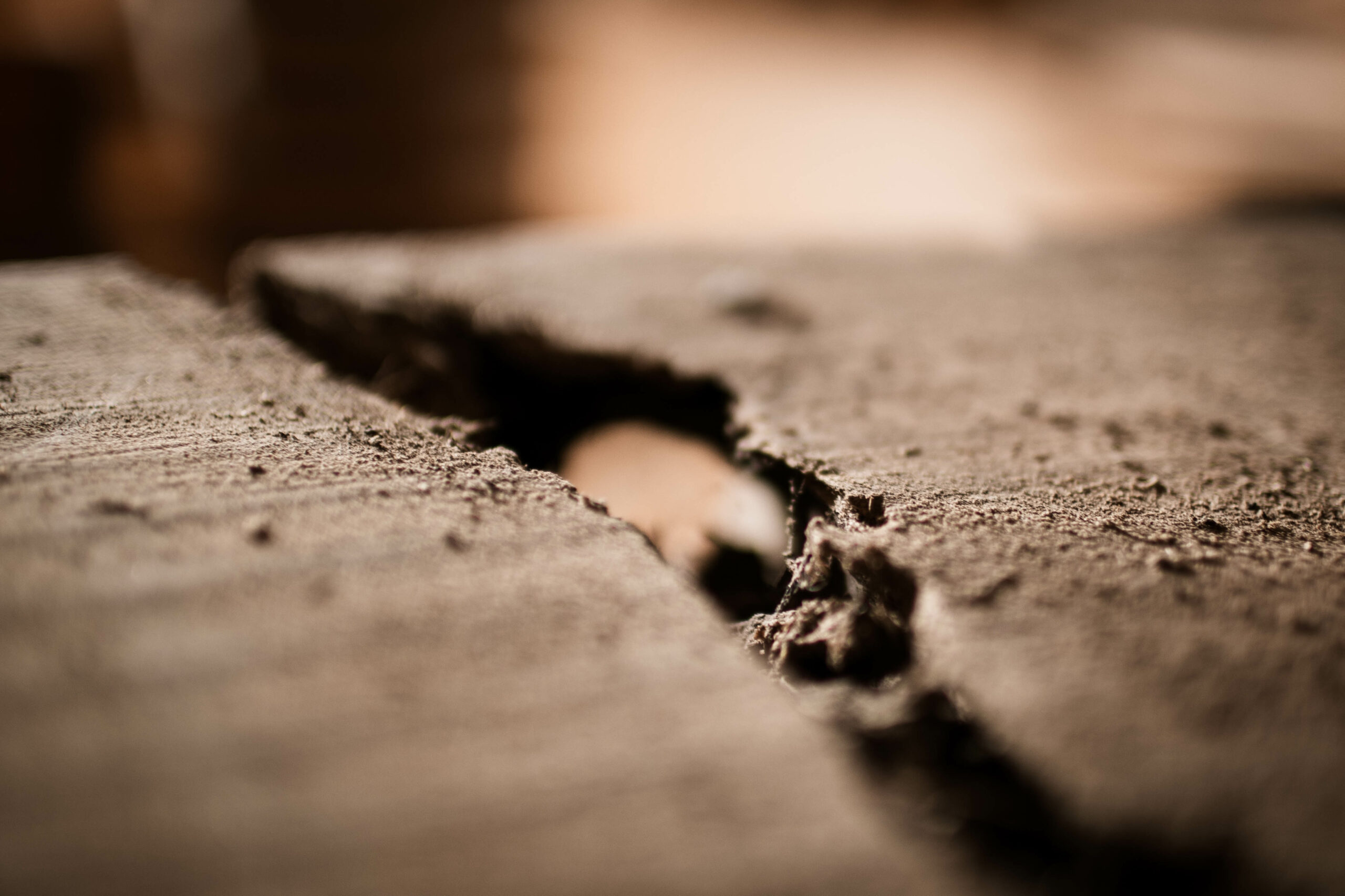 photographe epernay - photographe famille marne - dominique borgnet