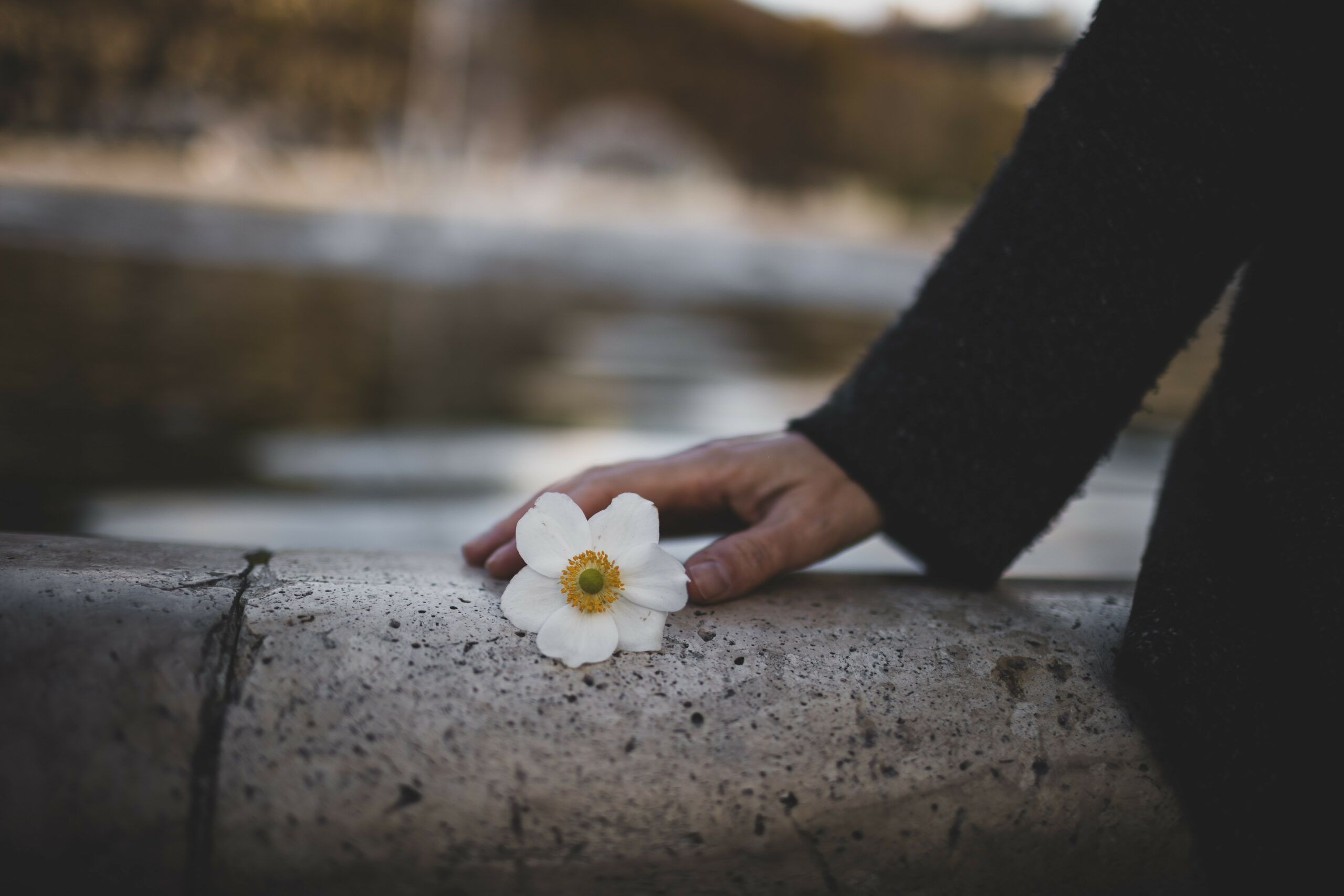 Photographe marne - Photographe epernay - Photographe champagne Dominique borgnet photographe